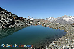 F089652: Alphubelsee und Matterhorn