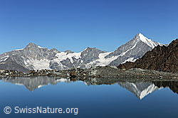 F089653: Spiegelung von Zinalrothorn, Schalihorn und Weisshorn im Alphubelsee