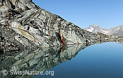 F089657: Spiegelbild im Alphubelsee