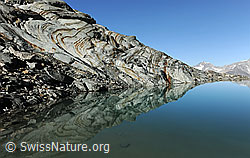 F089658: Spiegelung im Alphubelsee