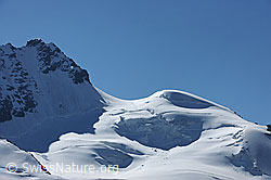 Foto: Rimpfischhorn, Rimpfischsattel und Mellichgletscher