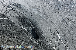 Foto: Mellichgletscher