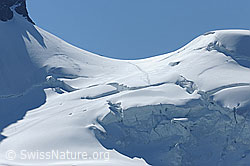 Foto: Rimpfischsattel und Mellichgletscher