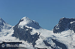 F089774: Pollux und Roccia Nera