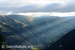 F090363: Lichtstimmung im Binntal
