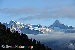 F090367: Gross Wannenhorn und Finsteraarhorn aus der Region Breithorn
