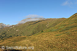 F090388: Im Aufstieg aufs Breithorn