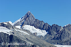 F090449: Finsteraarhorn vom Breithorn (Binntal)