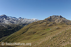 F090496: Alp Furggerchäller und Höüpmischbiel
