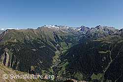 F090520: Binntal vom Breithorn