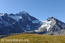 Foto: Lauterbrunnen Breithorn, Wetterlücke und Tschingelhorn