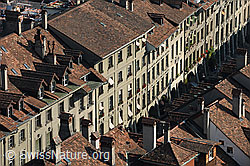 F091976: Blick vom Münster auf die Altstadt von Bern