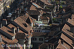 F091977: Blick vom Münster auf die Altstadt (Unterstadt) von Bern