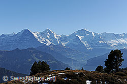 F092462: Klare Sicht auf Dreigestirn Eiger, Mönch, Jungfrau