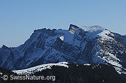 F092642: Pilatus von der Stäfeliflue