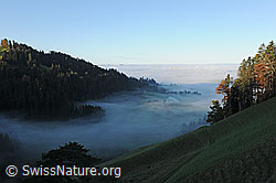F093058: Nebelgrenze im Emmental