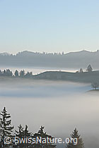 F093112: Hügelzüge über dem Nebelmeer