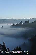 F093120: Stimmungsbild: Nebelgrenze