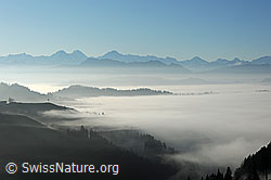 F093123: Nebelstimmung und Nebelmeer zwischen Emmental und Berner Alpenkette