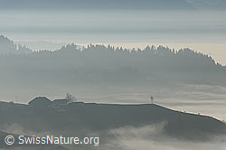 F093129: Nebelschwaden in Emmentaler Hügellandschaft