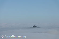 F093150: Hügel als kleine Insel im Nebelmeer