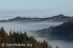 F093177: Herbststimmung mit feiner Nebelschicht über den Tälern
