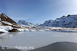 F093604: Eisbedeckter Bergsee
