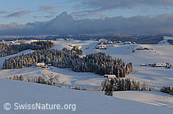 F093997: Abendstimmung in verschneiter Hügellandschaft
