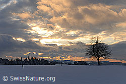 F094010: Wolkenstimmung über Winterlandschaft