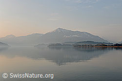F094768: Feine Morgenstimmung am Zugersee mit Spiegelung der Rigi