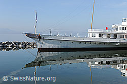 F095280: Schiff: Raddampfer (Original und Spiegelbild)