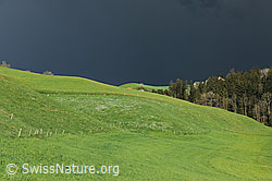 F096001: Gewitterstimmung mit dunklen Wolken am Himmel