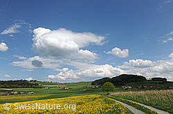 F096237: Schönwetterwolken über Frühlingslandschaft