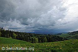 F096410: Gewitterstimmung über Frühlingslandschaft