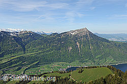 F096636: Rigi vom Gnipen (Rossberg)