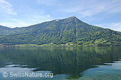F096745: Rigi und Zugersee