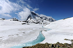 F097431: Hellblauer Wasserstreifen am Ufer eines gefrorenen Bergsees
