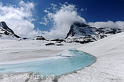 F097448: Hellblaues Wasser auf der Eisdecke
