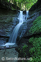 F098365: Wasserfall in kleiner Schlucht