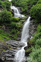 F098409: Wasserfälle über gestufte Felsen