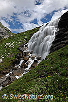 F098493: Wasserfall in Sommerlandschaft