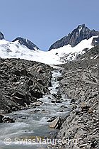 F098611: Gletscherbach am Oberaargletscher