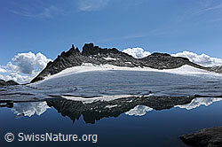 F099784: Spiegelung in Gletschersee
