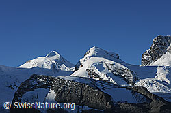 F100970: Castor und Pollux von Norden