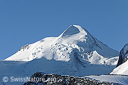 F100974: Der Viertausender Castor von Norden