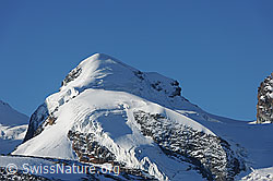 F100976: Der Viertausender Pollux von Norden