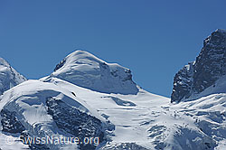 F101059: Der Viertausender Pollux von Norden