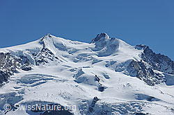 F101065: Nordend und Dufourspitze