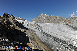 F101277: Allalinhorn und Allalingletscher