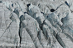 F101309: Gletscherspalten im Allalingletscher